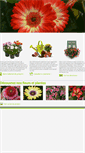 Mobile Screenshot of lesfleursdelile.com